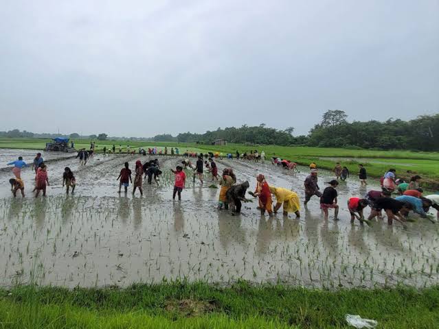 देशभरका २६ लाख किसान सूचीकरण प्रणालीमा आबद्ध