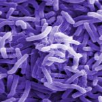 वीरगञ्जमा अहिलेसम्म १ सय १४ जनामा हैजाको सङ्क्रमण पुष्टि